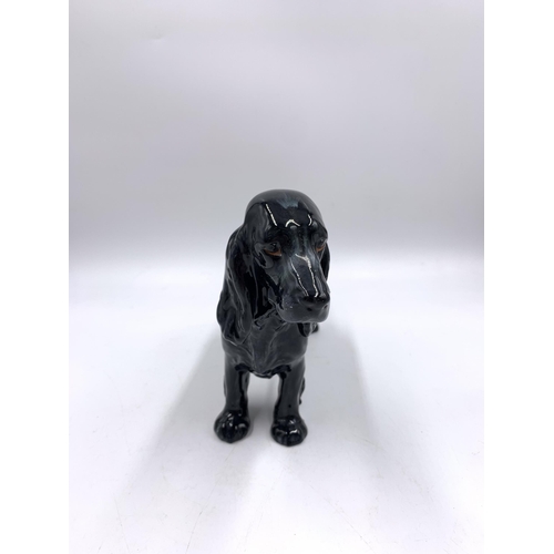 304 - A Royal Doulton Lucky Star of Ware cocker spaniel figurine - HN1000