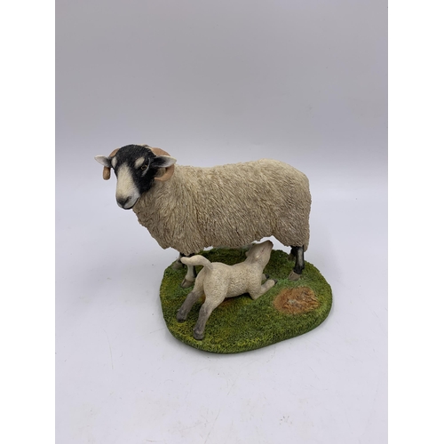 336 - Four boxed Sherratt & Simpson resin animal figurines, no. 57322 Suffolk Ewe and Lamb, no. 57319 Tamw... 