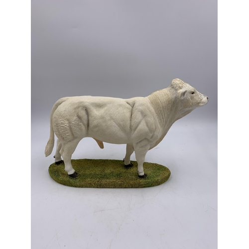 343 - A boxed Sherratt & Simpson Charolais Bull resin figurine - no. 57316