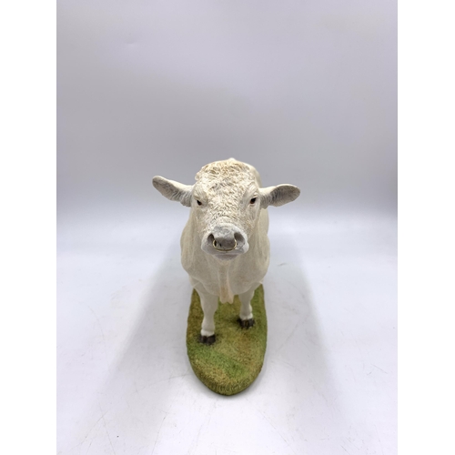 343 - A boxed Sherratt & Simpson Charolais Bull resin figurine - no. 57316