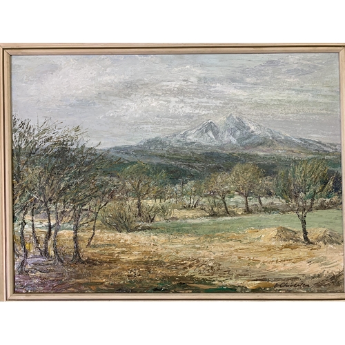 284 - A mid 20th century framed E. Chiverton landscape scene oil on board - approx. 59cm high x 77cm wide