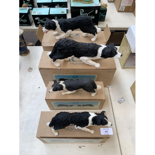 362 - Four boxed Elgate resin Border Collie figurines