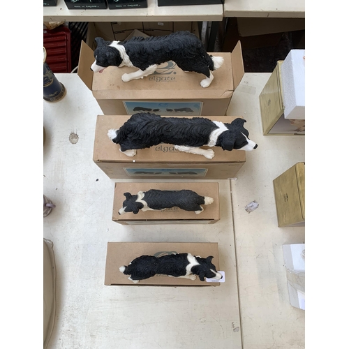 362 - Four boxed Elgate resin Border Collie figurines