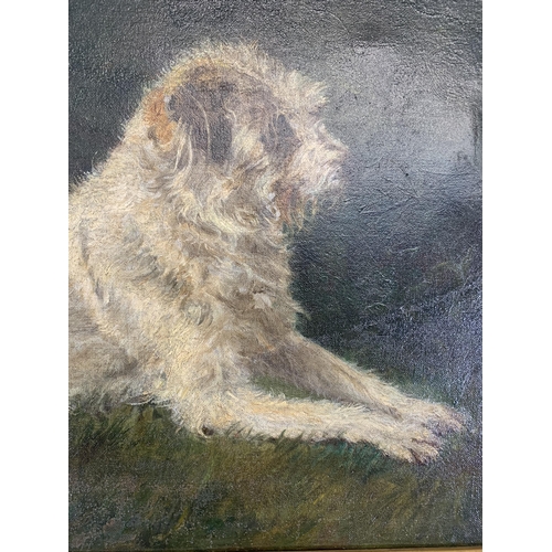 300 - A 19th century gilt framed Circle of George Paice oil on board of a long haired Terrier seated on gr... 