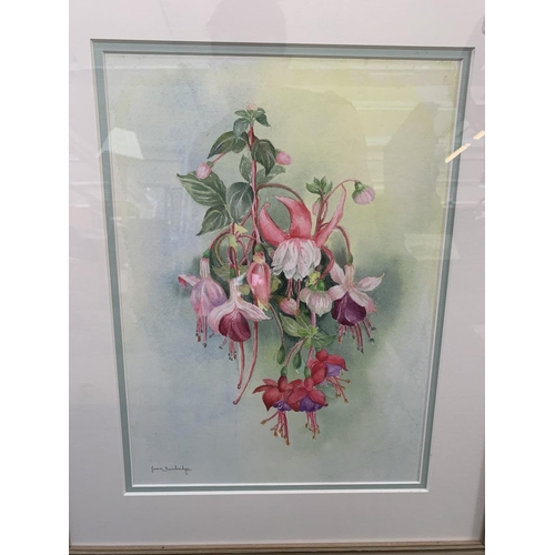 337 - Two botanical watercolour paintings, pencil signed Joan Bembridge - largest approx. 48cm high x 39cm... 