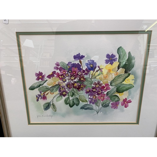 337 - Two botanical watercolour paintings, pencil signed Joan Bembridge - largest approx. 48cm high x 39cm... 