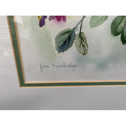 337 - Two botanical watercolour paintings, pencil signed Joan Bembridge - largest approx. 48cm high x 39cm... 