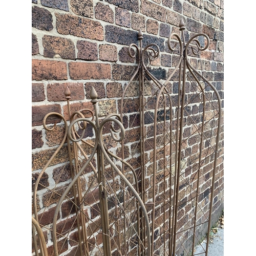 22 - A large quantity of 19th century style metal garden trellises - largest approx. 194cm high