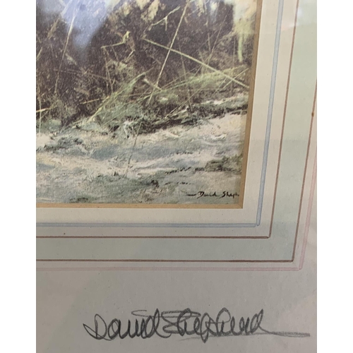 285 - Two pencil signed David Shephard safari animal prints with personal signatures by artist to reverse,... 