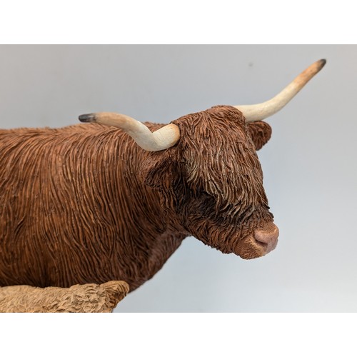 440 - Two Naturecraft Ltd. Best of Breed limited edition figurines, one Highland Bull 430/2000 and one Hig... 