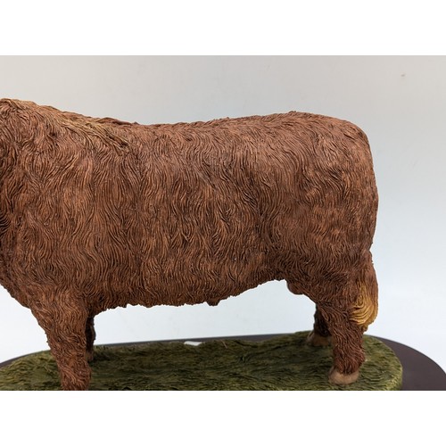 440 - Two Naturecraft Ltd. Best of Breed limited edition figurines, one Highland Bull 430/2000 and one Hig... 