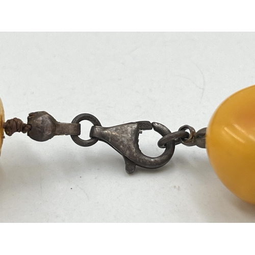 2063 - A Baltic amber beaded necklace with .925 silver clasp - approx. gross weight 154g and 31cm when clas... 