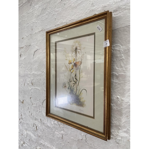 344 - A framed H. R. Hughes botanical print