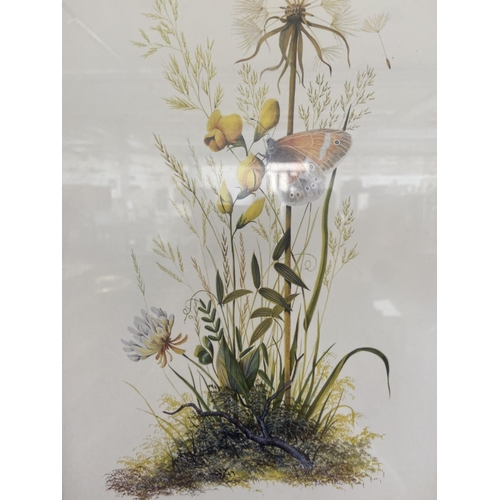 344 - A framed H. R. Hughes botanical print