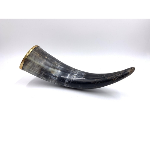 2149 - An antique drinking horn with yellow metal rim - approx. 24cm long