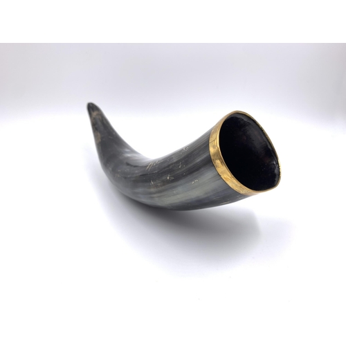 2149 - An antique drinking horn with yellow metal rim - approx. 24cm long