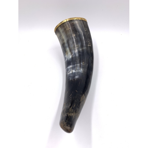 2149 - An antique drinking horn with yellow metal rim - approx. 24cm long