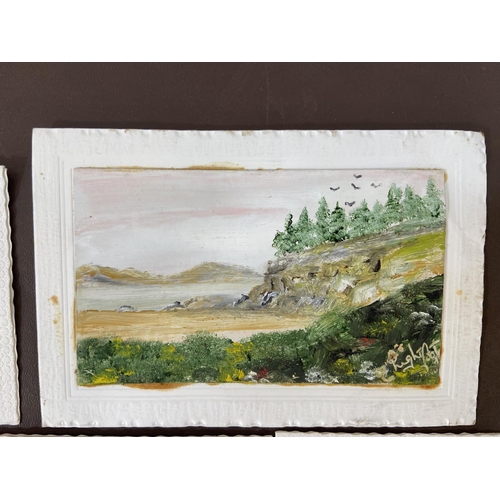 281 - A photograph album containing a collection of vintage acrylic on board paintings of landscape scenes... 