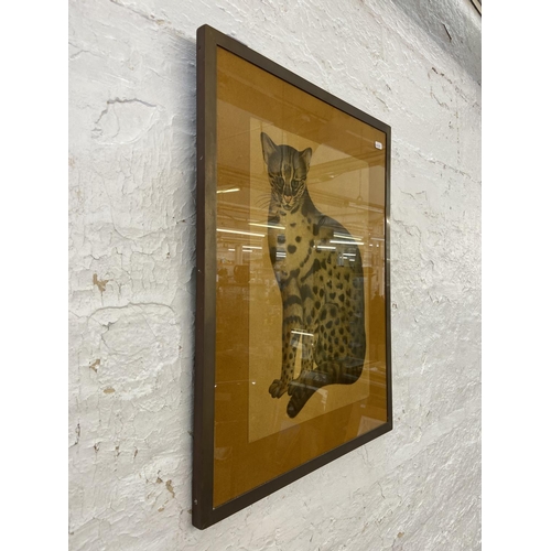 294 - A 20th century brass framed print of a leopard cat after John Reeves Images of Nature - approx. 65cm... 