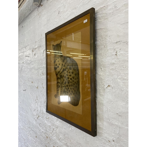 294 - A 20th century brass framed print of a leopard cat after John Reeves Images of Nature - approx. 65cm... 