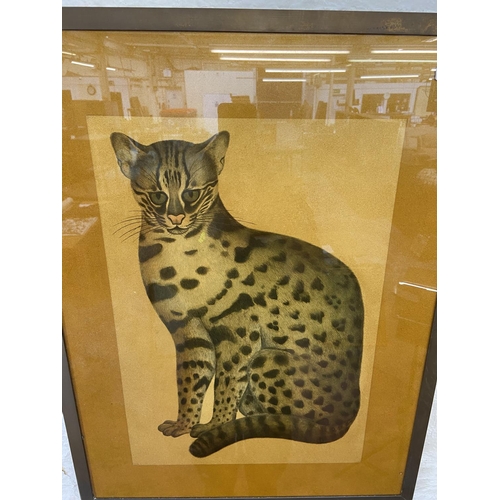 294 - A 20th century brass framed print of a leopard cat after John Reeves Images of Nature - approx. 65cm... 