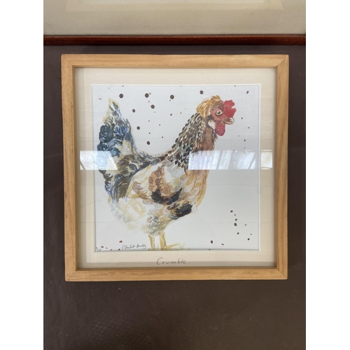 303 - A collection of framed pictures to include three limited edition prints of chickens, 19th century pr... 