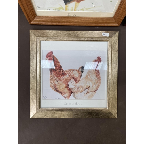 303 - A collection of framed pictures to include three limited edition prints of chickens, 19th century pr... 