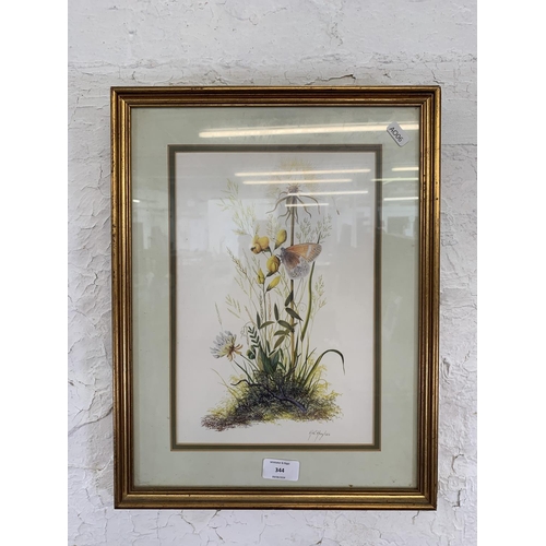 344 - A framed H. R. Hughes botanical print