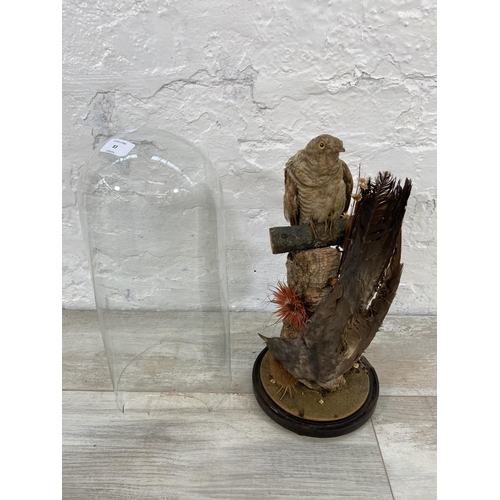 83 - A Victorian taxidermy two bird display under glass dome on ebonised stand - approx. 40cm high