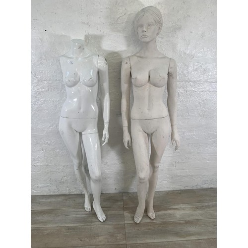 233 - Two white fibreglass nude female mannequins - largest approx. 184cm high