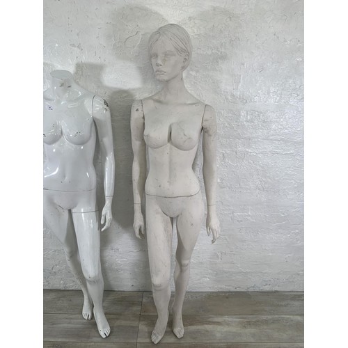 233 - Two white fibreglass nude female mannequins - largest approx. 184cm high