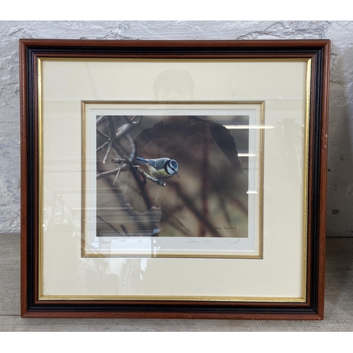 223 - Two framed Steven Townsend limited edition pencil signed photographs of birds, both 272/400 - approx... 