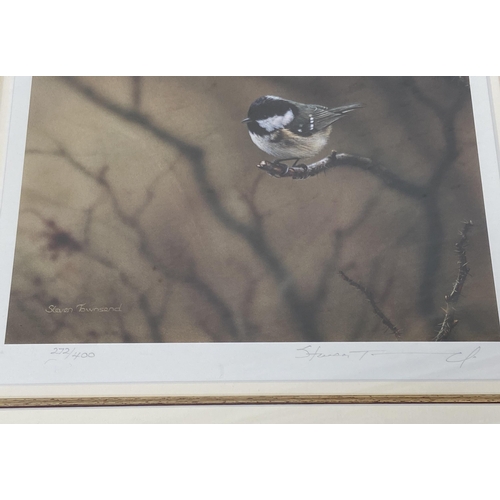 223 - Two framed Steven Townsend limited edition pencil signed photographs of birds, both 272/400 - approx... 