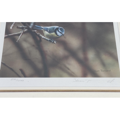 223 - Two framed Steven Townsend limited edition pencil signed photographs of birds, both 272/400 - approx... 