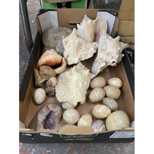 1151 - Two boxes containing sea shells and geological specimens to include amethyst, onyx etc.