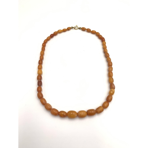 2128 - An amber single strand beaded necklace - approx. gross weight 12 grams and 44cm long