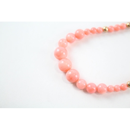 2079 - A coral single strand necklace with 9ct gold spacers and clasp - approx. gross weight 14.6g