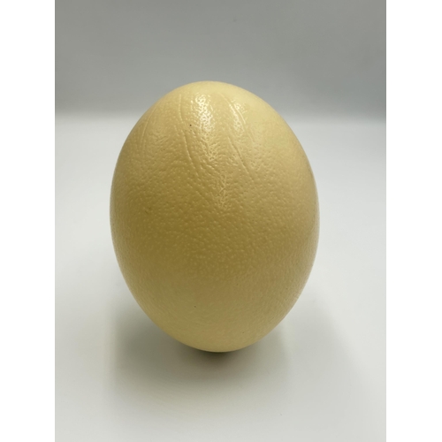 2264 - An Ostridge egg