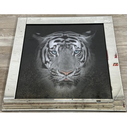 259 - Two modern mirror framed big cat prints - approx. 86cm square