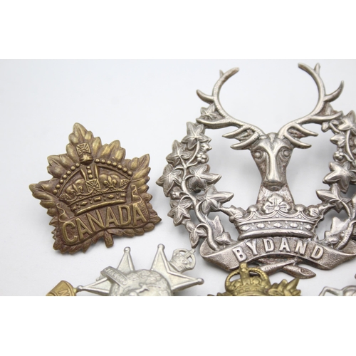 2368 - Ten military cap badges