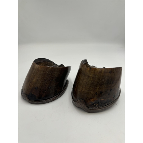 2398 - A pair of Victorian horse hooves with shoes