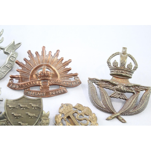 2414 - Ten military cap badges