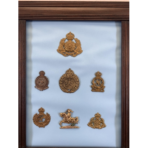 2429 - Seventeen framed Yeomanry military cap badges