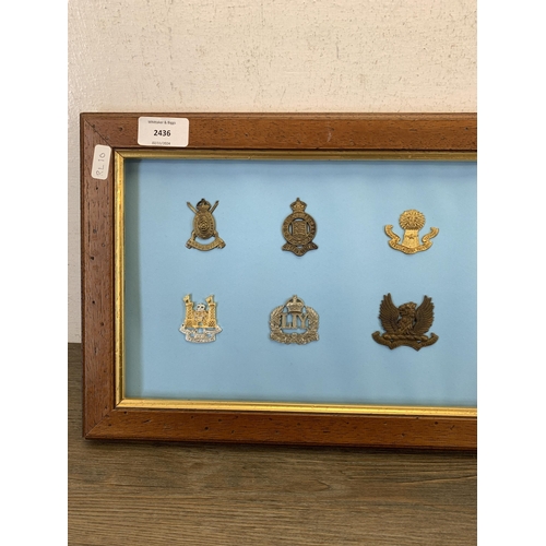 2436 - Fourteen framed Yeomanry military cap badges