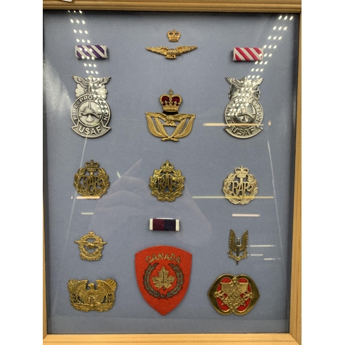 2439 - Eleven framed Air Force Associated military cap badges