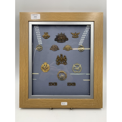 2441 - Eleven framed military cap badges together with two military shoulder titles