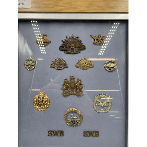 2441 - Eleven framed military cap badges together with two military shoulder titles