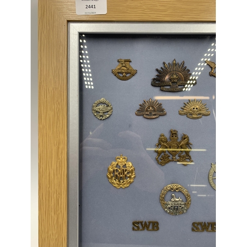 2441 - Eleven framed military cap badges together with two military shoulder titles