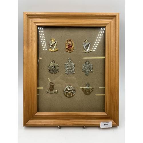 2442 - Nine framed military cap badges