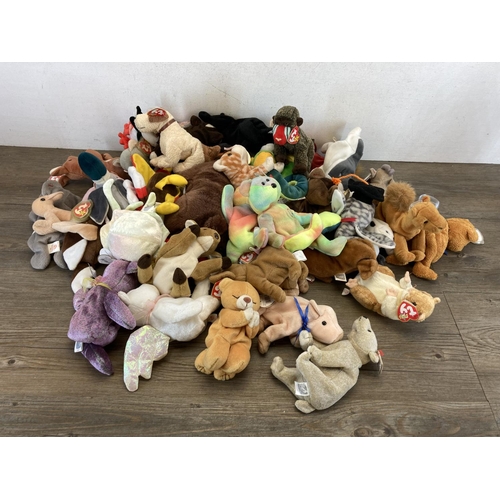 519 - A collection of Ty Beanie Babies to include Peace, 2000 Signature Bear, Halo etc.